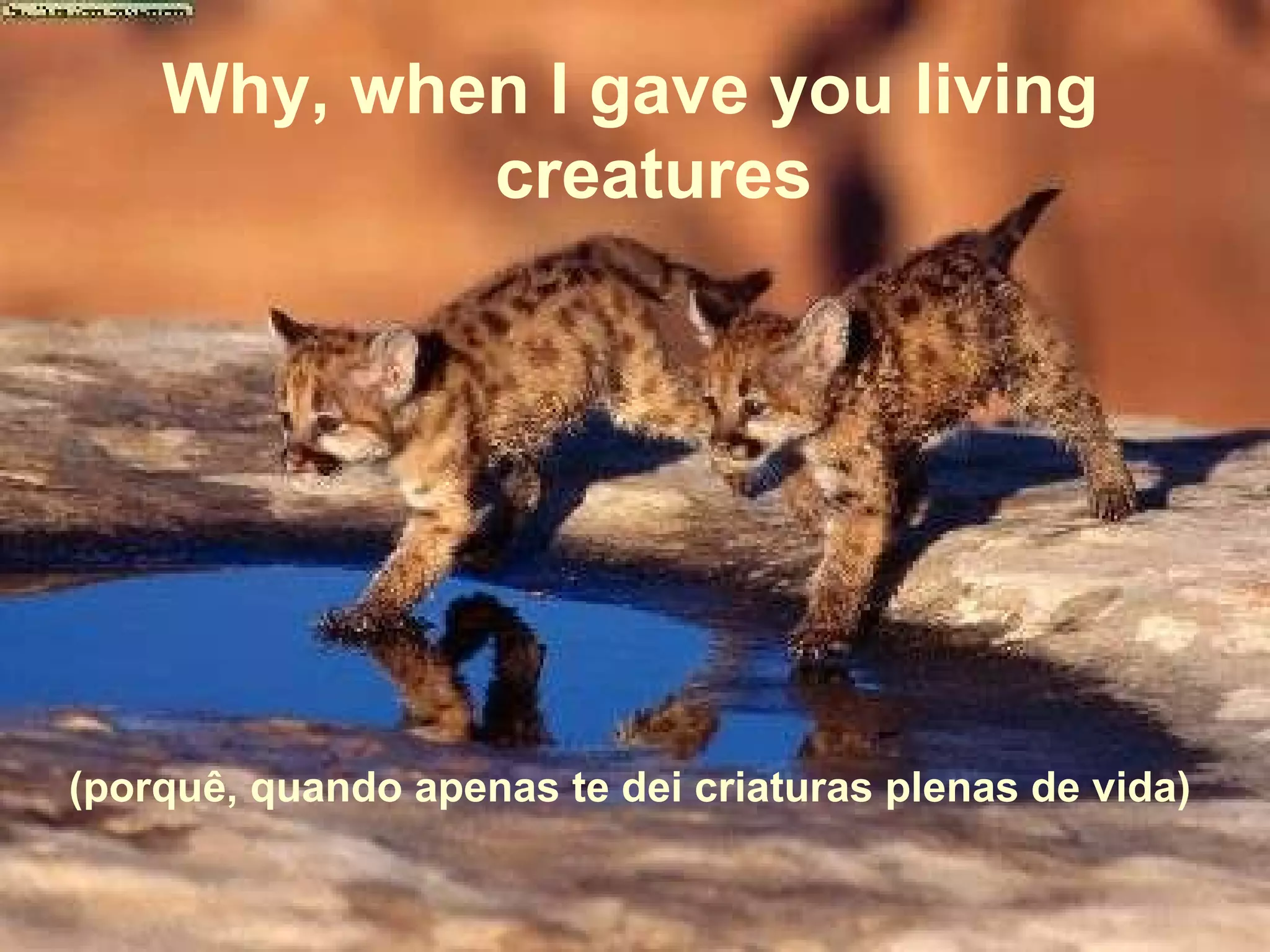 (porquê, quando apenas te dei criaturas plenas de vida) Why, when I gave you living creatures 