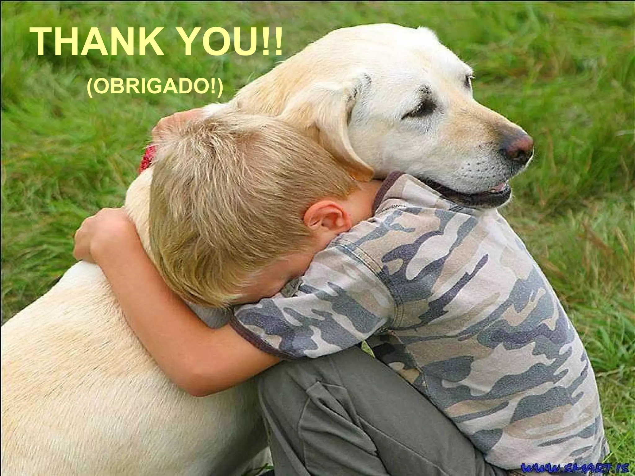 THANK YOU!! (OBRIGADO!) 