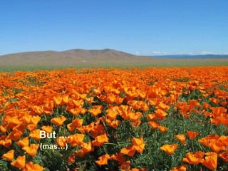 But ..... (mas…) 