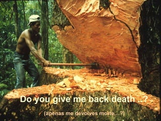 (apenas me devolves morte…?) Do you give me back death ..? 
