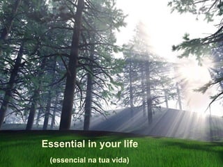 Essential in your life
 (essencial na tua vida)
 