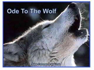 Ode To The Wolf