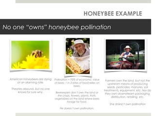 No one “owns” honeybee pollination
American honeybees are dying
at an alarming rate.
Theories abound, but no one
knows for sure why.
Pollination = 70% of economic value
of bees; 1 in 3 bites of food relies on
bees.
Beekeepers don’t own the land or
the crops, flowers, plants, fruits,
vegetables on the land where bees
forage for food.
He doesn’t own pollination.
Farmers own the land, but not the
upstream means of producing
seeds, pesticides, manures, soil
treatments, equipment, etc. Nor do
they own downstream packaging,
distribution, retailing, etc.
She doesn't own pollination
HONEYBEE EXAMPLE
 