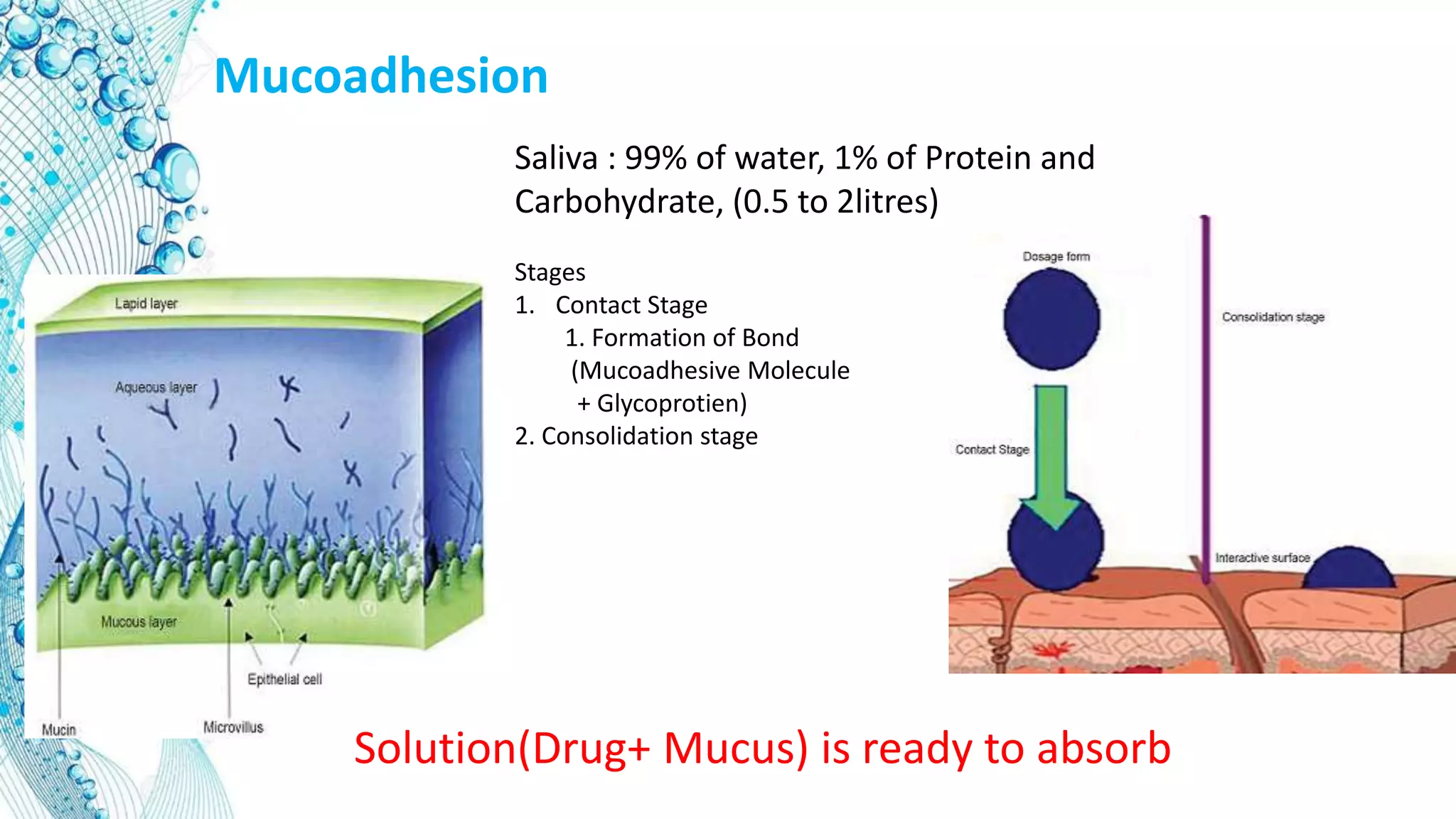Mucoadhesion
Saliva : 99% of water, 1% of Protein and
Carbohydrate, (0.5 to 2litres)
Stages
1. Contact Stage
1. Formation of Bond
(Mucoadhesive Molecule
+ Glycoprotien)
2. Consolidation stage
Solution(Drug+ Mucus) is ready to absorb
 