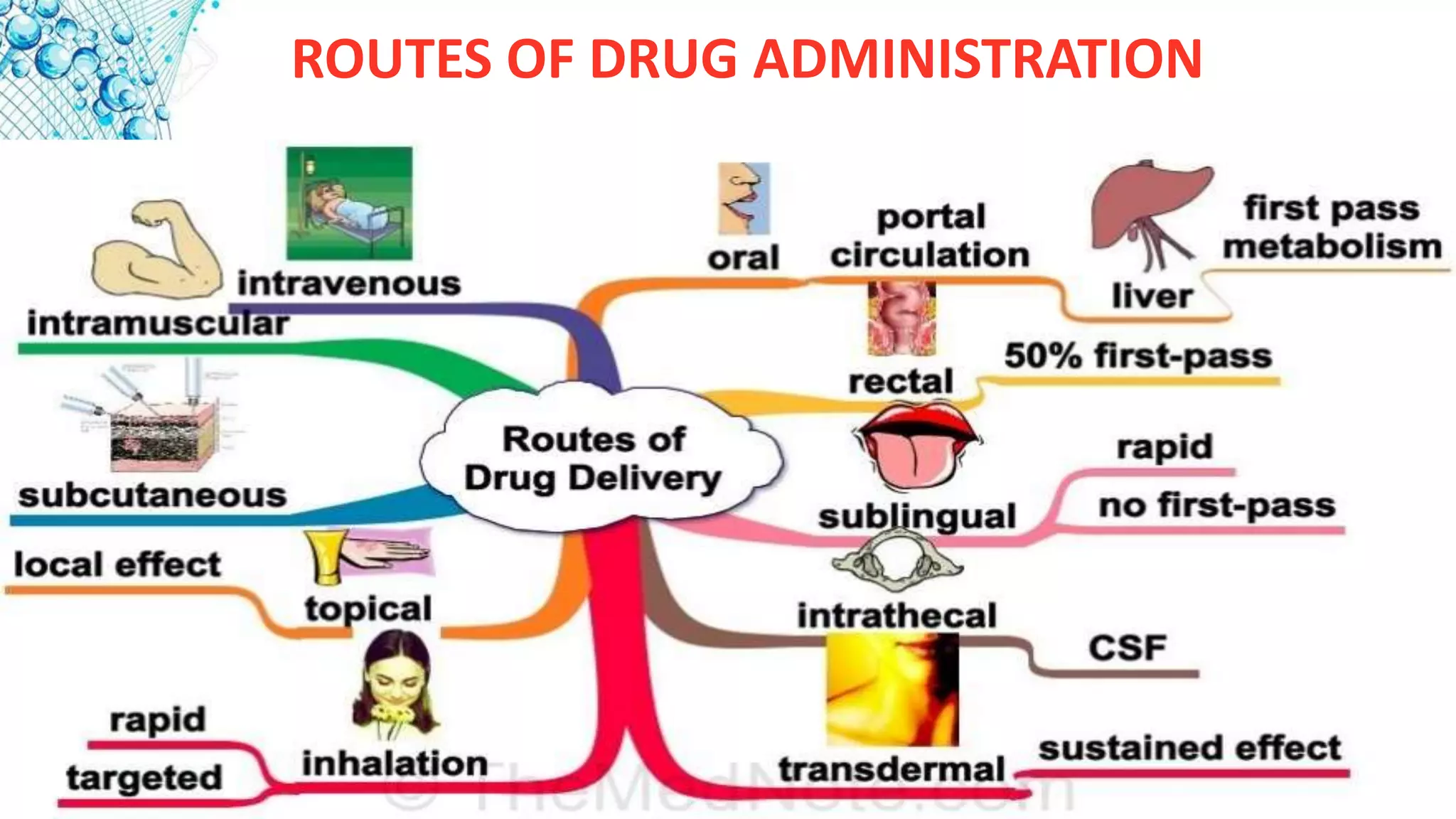 ROUTES OF DRUG ADMINISTRATION
 