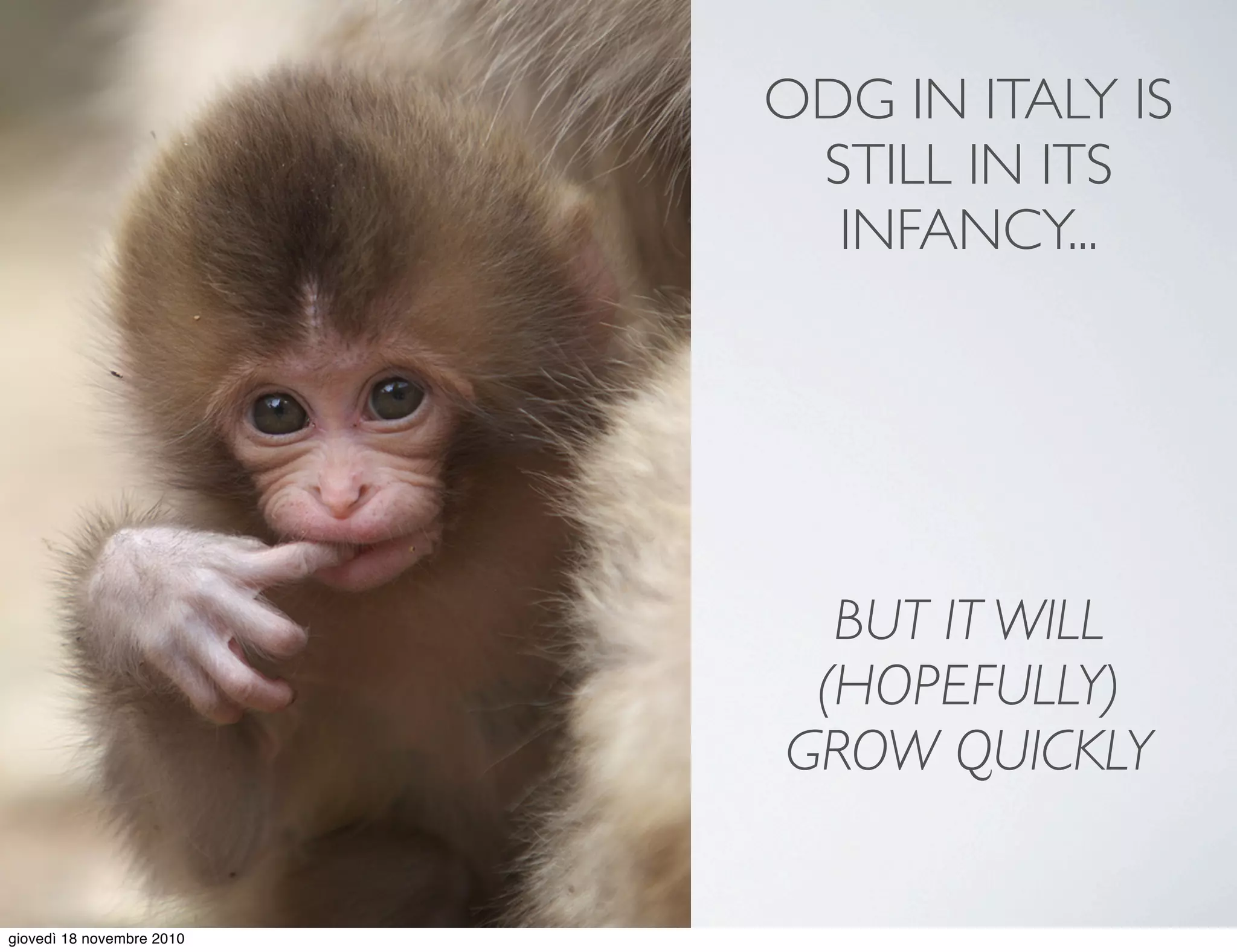 ODG IN ITALY IS
STILL IN ITS
INFANCY...
BUT IT WILL
(HOPEFULLY)
GROW QUICKLY
giovedì 18 novembre 2010
 