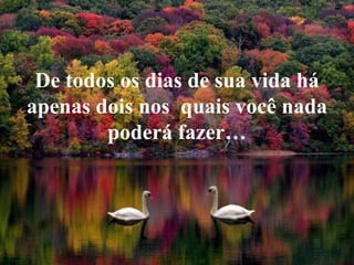 De todososdias de suavidaháapenasdoisnosquaisvocê nada poderáfazer…