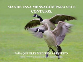 MANDE ESSA MENSAGEM PARA SEUS CONTATOS, PARA QUE ELES MEDITEM A RESPEITO.http://wwwnoticiasdorei.blogspot.com/