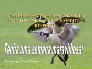 MANDE ESSA MENSAGEM PARA SEUS CONTATOS, PARA QUE ELES MEDITEM A RESPEITO.  Tenha uma semana maravilhosa! Um abraço, Pedro Mendes 