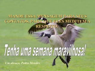 MANDE ESSA MENSAGEM PARA SEUSMANDE ESSA MENSAGEM PARA SEUS
CONTATOS, PARA QUE ELES MEDITEM ACONTATOS, PARA QUE ELES MEDITEM A
RESPEITO.RESPEITO.
Um abraço, Pedro Mendes
 