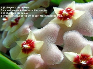 E já chegou o dia do bem  Eu acredito e você deve acreditar também.  E já chegou o dia da paz  Se você acha que já fez um pouco, faça um pouco mais. 