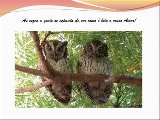 As vezes a gente se espanta de ver como é belo o nosso Amor!
 