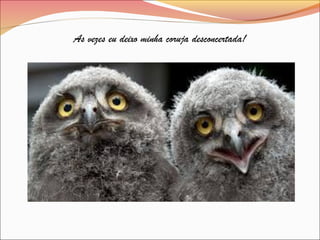 As vezes eu deixo minha coruja desconcertada!
 