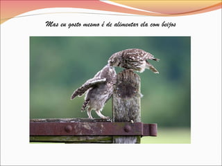 Mas eu gosto mesmo é de alimentar ela com beijos
 