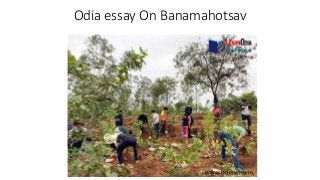Odia essay On Banamahotsav
 