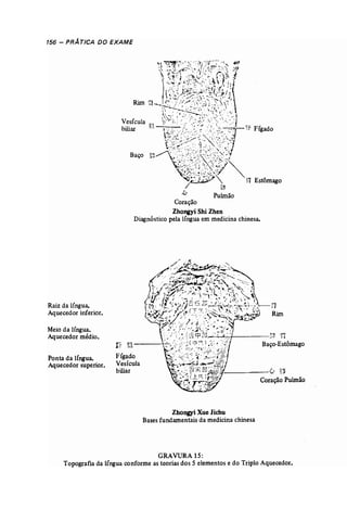 156 - PRÁTICA DO EXAME 
1~"'!i~~;';,W3~f:·,~:,~ t; 
1' .:~rt ;;·,fr?::~:·: ",-~ O~;, ! 
j .•;:.~'.J ~$:':, .:.,>~:1;j~)/: 
~<j~~;'~-':'~~'.~~ J 
Rim '::t c-: ~://"~~'~f; ''"':i ", 
-[1::s~:~ Y,j~, ;.~ 
Vesícula ' - r: / .' (~~ ~;J' .' ~ ~ ':, '.,~1 
Baço 
~~.?. f1 Estômago 
/ ~ti 
.Co' Pulmão 
Coração 
ZhongyiShi Zhen 
Diagnóstico pela língua em medicinachinesa. 
Raiz da língua. 
Aquecedorinferior. 
Meioda língua. 
Aquecedormédio. 
Ponta da língua. 
Aquecedor superior. 
fi .~------­Fígado 
Vesícula 
biliar 
'fi 
Rim 
+------;~~ ~ 
Baço-Estômago 
:#!I--------{} fr' 
Coração Pulmão 
ZhongyiXue Jichu 
Basesfundamentaisda medicinachinesa 
GRAVURA15: 
Topografiada 1fngua conforme as teoriasdos 5 elementos e do TriploAquecedor. 
 
