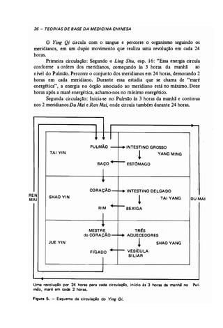 36 - TEORIAS DE BASE DA MEDICINA CHINESA 
o Ying Qi circula com o sangue e percorre o organismo seguindo os 
meridianos, em um duplo movimento que realiza uma revolução em cada 24 
horas. 
Primeira circulação: Segundo o Ling Shu, cap. 16: "Essa energia circula 
conforme a ordem dos meridianos, começando às 3 horas da manhã ao 
nível do Pulmão. Percorre o conjunto dos meridianos em 24 horas, demorando 2 
horas em cada meridiano. Durante essa estadia que se. chama de "maré 
energética", a energia no órgão associado ao meridiano está no máximo. Doze 
horas após a maré energética, achamo-nos no mínimo energético. 
Segunda circulação: Inicia-se no Pulmão às 3 horas da manhã e continua 
nos 2 meridianos Du Maie Ren Mai, onde circula também durante 24 horas. 
TAl YIN 
PULMÃO 
BAÇO 
INTESTINO GROSSO _! YANG MING 
ESTOMAGO 
CORAÇÃO 
REN 
MAl 
SHAO YIN 
INTESTINO DELGADO ! TAIYANG 
RIM BEXIGA 
OU MAl 
JUE YIN 
MESTRE 
do CORAÇÃO 
FitADO 
TRl:S 
AQUECEDORES ! SHAOYANG 
VESICULA 
BILIAR 
Uma revolução por 24 horas para cada circulação, início às 3 horas da manhã no Pul.. 
mão, maré em cada 2 horas. 
Figura 5. - Esquema da circulação do Ying Di. 
 