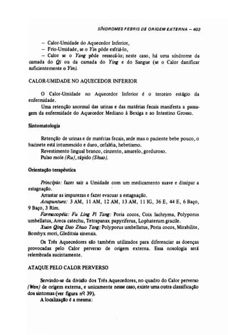 Odiagnsticonamedicinachinesaauterochenavailhcopy 140215215301-phpapp01