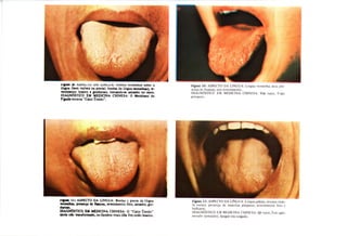 Odiagnsticonamedicinachinesaauterochenavailhcopy 140215215301-phpapp01