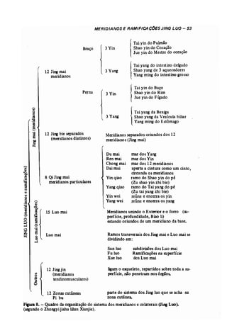 MERIDIANOS E RAMIFICA COES JING LUa - 53 
Braço 3 Yin 
 
Tai yin do Pulmão 
Shao yin do Coração 
Jue yin do Mestre do coração 
12 Jing mai 
meridianos 
3 Yang ITai yang do intestino delgado 
Shao yang de 3 aquecedores 
Yang Ming do intestino grosso 
Perna 3Yin j 
Tai yin do Baço 
Shao yin do Rim 
Jue yin do Fígado 
Tai yang da' Bexiga 
Shao yang da Vesícula biliar 
Yang Ming do Estômago 
Meridianos separados oriundos dos 12 
meridianos (Jing mai) 
12 Jirw bie separados 
(meridianos distintos) 
3 Yang I 
Meridianos unindo o Exterior e o forro (su­perfície, 
profundidade, Biao li) 
estando oriundo s de um meridiano da base. 
Ramos transversais do s Jing mai e Lua mai se 
dividindo em: 
8 QiJing mai 
meridianos particulares 
15 Luo mai 
Luo mai 
Dumai 
Ren mai 
Chang mai 
Dai mai 
Yin qiao 
Yang qiao 
Yin wei 
Yang wei 
mar dos Yang 
mar dos Yin 
mar dos 12 meridianos 
aperta a cintura como um cinto, 
circunda os meridianos 
ramo do Shao yin do pé 
(Zu shao yin zhi bie) 
ramo do Tai yang do pé 
(Zu tai yang zhi bie) 
reúne e encerra os yin 
reúne e encerra os yang 
Sun luo 
Fuluo 
Xue luo 
subdivisões dos Lua mai 
Ramificações na superfície 
dos Lua mai 
ligam o esqueleto, repartidos sobre toda a su­perfície, 
não penetram nos 6xgãos. 
12 Jing jin 
(meridianos 
tendinomusculares) 
12 Zonas cutâneas parte do sistema dos Jing lua que se acha na 
Pi bu zona cutânea. 
Fipra 8. - Quadro da organização do sistema dos meridianos e colaterais (Jing Lua). 
(segundo o Zhongyijishu lilun Xianjie). 
 