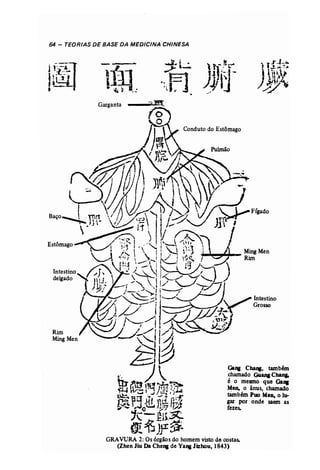 64 - TEORIAS DE BASE DA MEDICINA CHINESA 
Estômago 
Rim 
Ming Men 
Garganta 
Conduto do Estômago 
Gana Cq, tambmn 
chamado Gu.... Chao& 
é o mesmo que 0.,. 
Men, o ânus, chamado 
tambémPuo Men.o lu­gar 
por onde saem as 
fezes. 
 