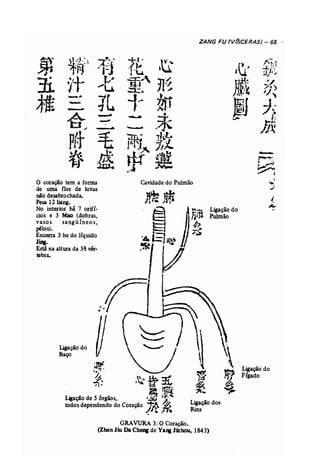 Ligação do 
Fígado 
Ligação dos 
Rins 
"-'m...i 
. ~~ .~~~~ 
~~ 
Ligação de 5 6rgãos, 7~* 
;~ ~.., 
todos dependendo do Coração Ligação do 
Baço 
ZANG FU (V(SCERASJ - 65 .' 
~ *:.v. 1~i +,. 1J: (j' 
.., r'.~.I·. - "ji} ~,1-)u'. , ' .:.L~.: l. :J;h~ 
:Ii 1t t> -m~ ir'" hti /l..l ./ :~) J ~ /. =t:. JJ, 
~t 
..... ....... lL .r., t1J '4 ::J~ .--.. t ~ .1 â -- ...... zr•, .:.",-. fl ~ - tj~ ~ -... ;/j. /" p~t =E --. ~J"L ffri '::X, . _~ /J 
~f ltf;. tU·~ 
....... rr:. ...~ 
~ ,.J ~ 
o coração tem a forma Cavidade do Pulmão ~ 
de uma flor de lotus .,: 
não desabrochada. (. 
Pesa 12 liang, ~ 
No interior há 7 orif{- nrn Ligação do 
cios e 3 Mao (dobras. Pulmão 
vasos sangü íneo s, pêlos). S 
Encerra 3 he do líquido ,,~ 
Ju.. 
Estána altura da 3~ vér-tebra. 
GRAVURA 3: O Coração. 
(ZhenJiu Da Cheng de Yang Jizhou, 1843) 
 