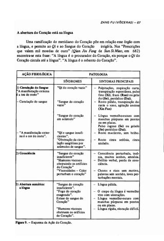 ZANG FU (V(SCERAS) - 67 
Aabertura do Coração está na língua 
Uma ramificação do meridiano do Coração põe em relação esse órgão com 
a língua, e permite ao Qi e ao Sangue do Coração irrigá-la. Nas "Prescrições 
que valem mil moedas de ouro" (Qian Jin Fang de Sun SiMiao, em 682) 
encontra-se esta frase: "A língua é o procurador do Coração, eis porque o Qi do 
Coração circula até a língua". "A língua é o rebento do Coração". 
AÇÃOFISIOLOOICA 
S1NDROMES 
PATOLOGIA 
SINTOMAS PRINCIPAIS 
1) Circ:uJaçio do Sangue 
'A manifestação externa 
éa tez do rosto" 
- Circulação do sangue 
- uA manifestação exter­na 
éa cor do rosto". 
~) Consciência 
~) Abertura somática: 
a línaua 
"Qi do coração vazio" 
"Sangue do coração 
vazio" 
"Sangue do coração 
em acúmulo" 
"Qi e sangue insufi­cientes". 
"Obstrução da circu­lação 
sangüínea por 
acúmulos de sangue". 
"Sangue do coração 
. insuficiente" 
"Humores viscosos 
obstruindo os orifícios 
do Coração" 
"Viscosidades - Calor 
perturbam o coração" 
"Sangue do coração 
insuficiente". 
"Fogo do coração 
exagerado". 
Estase do sangue do 
Coração" 
"Humores viscosos 
obstruem os orifícios 
do Coração". 
- Palpitações, respiração curta, 
transpiração espontânea, pulso 
fino (Xi), fraco (Ruo) ou gela­do 
(Jie), periódico (Dai). 
- Rosto pálido, transpiração du­rante 
o sono, agitação ansiosa 
(Xin Fan) 
- Língua vermelho-escuro com 
manchas púrpuras em pon tos 
ou em placas. 
Pulso rugoso (Se) ou gelado 
(Jie) periódico (Dai). 
- Rosto macilento, sem brilho. 
- Rosto cinza ardósia, cinza 
azulado. 
- Consciência perturbada, insô­nia, 
muitos sonhos, amnésia . 
- Delírio verbal, perda de cons­ciência. 
- Choros e risos sem motivo, 
palavras sem sentido, leves per­turbações 
men tais. 
- Língua pálida. 
- O corpo da língua é vermelho 
vivo com ulcerações. 
- Língua vermelho-escuro com 
manchas púrpuras em pontos 
ou em placas. 
- Língua rígida, elocução difícil. 
Figura 9. - Esquema da Ação do Coração. 
 
