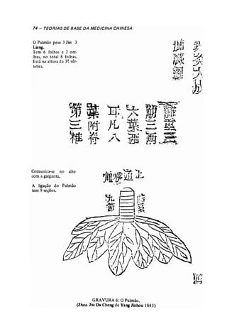 74 - TEORIAS DE BASE DA MEDICINA CHINESA 
o Pulmão pesa 3 Jin 3 
Liang. 
Tem 6 folhas e 2 ore­lhas, 
no total 8 folhas. 
Está na altura da 3~ vér­tebra. 
Comunica-se no alto 
com a garganta. 
A ligação do Pulmão 
tem 9 seções, 
GRAVURA 6: O Pulmão. 
(Zhen Jiu Da Cheng de Yarw lizhou 1843) 
 