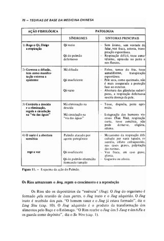 76 - TEORIAS DE BASE DA MEDICINA CHINESA 
AÇÃO FISIOLÓGICA 
SfNDROMES 
PATOLOGIA 
SINTOMASPRINCIPAIS 
1) Rege o Qi, Dirige 
a respiração 
:2) Governa a difusão, 
tem como manifes­tação 
externa a 
epiderme 
3) Controla a descida 
e a eliminação, 
regula a circulação 
na "via das águas" 
4) O nariz éa abertura 
somática 
rege a voz 
Qi vazio 
Qi do pulmão 
defeituoso 
Má difusão 
Qi insuficicn te 
Qi vazio 
Máeliminação na 
descida 
~~ circu ~ação ,~a 
via das aguas 
Pulmão atacado por 
agente patogénico 
Qi insuficiente 
Qi do pulmão obstruído 
formando tampão 
- Sem ânimo, sem vontade de 
falar, voz fraca, astenia, trans­piração 
espontânea. 
- Respiração difícil, tosse asma­tiforme, 
opressão no peito e 
nos flancos. 
- Febre, temor do frio, tosse 
asrnatiforrne, transpiração 
espontânea. 
- Pele seca, como queimada, não 
é mais assegurada a proteção 
face ao exterior. 
- Abertura das glândulas sudorÍ­paras, 
a respiração defeituosa 
suscita doença da pele. 
-- Tosse, dispnéia, peito opri­mido. 
-- Estagnação dos humores vis­cosos 
(Tao Yin), respiração 
curta, tosse asmática, não 
pode deitar-se, oligúria , 
edema. 
- Mecanismo da respiração difi­cultado 
por nariz tapado. ri­norréia, 
olfato enfraquecido, 
nos casos graves, palpitação 
das narinas. 
- Voz fraca, cm caso gravc, 
afonia. 
- Gagueira ou afonia. 
Figura 11. - Esquema da acão do Pulmão. 
Os Rins armazenam o Jing, regem o crescimento e a reprodução 
Os Rins são os depositários da "essência' (Jing]. O Jir« do organismo é 
formado pela reunião de duas partes" o Jing inato e o Jing adquirido. O Jing 
inato é recebido dos pais. "O homem nasce e o Jing já estava formado", diz o 
Ling Shu (cap. 10). O Jing adquirido é o produto da transformação dos 
alimentos pelo Baço e o Estômago. ~'O Rim recebe o Jing dos 5 Zang e dos 6Fu e 
os guarda como depósito". diz o Su IVen (cap. 1). 
 