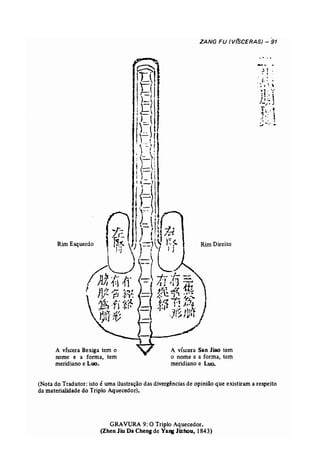 Rim Esquerdo 
A víscera Bexiga tem o 
nome e a forma, tem 
meridiano e Lua. 
ZANG FU (V(SCERAS) - 91 
Rim Direito 
A. víscera San JOO tem onome e a forma, tem 
meridiano e Luo, 
(Nota do Tradutor: isto é uma ilustração das divergências de opinião que existiram a respeito 
da materialidade do Triplo Aquecedor). 
GRAVURA 9: O Triplo Aquecedor. 
(Zhen Jiu Da Cheng de Ya. Jizhou, 1843) 
 
