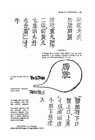 ZANG FU (V(SCERAS) - 95 
A BEXIGA 
A Bexiga pesa 9 liang 2 zhu, Mede 2 cun de com­primento 
e de largura. Contém 9 sheng 9 he de 
urina, e é então mais larga de 2,5 cun, 
A urina sai por este lu­gar. 
Comunica-se embaixo 
com o sexo. 
A bexiga tem um orifí­cio 
inferior, mas não 
tem oriffcio superior. 
Sua parte superior está 
em conexão com o 
intestino delgado. Gra­ças 
ao Aquecedor Infe­rior, 
a urina infiltra-se 
do intestino delgado até 
dentro da bexiga. 
GRAVURA 13: A Bexiga. 
Ã >], ~1 ~..... ')fi 
(Zhen Jiu Da Che.. de Yang Jizhou, 1843) 
J1~ •':.1 ;;1-' r-' J~~ -l: J mn . 
~ ~ ~- ~. ..I 
.~ 
Oe »:..... 
1=ê ~")jtl ~~J;l 
:J~ ,~~. 1 i~ m--- /; ___o 
~ -..- '* };1 ;. 
..,.:--~~ .... - 
 