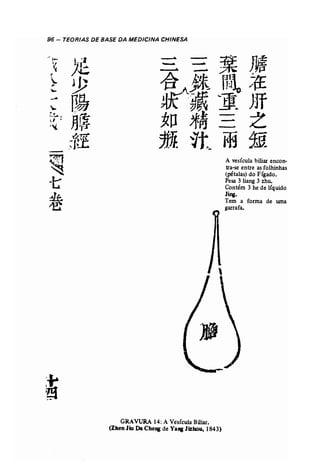 96 - TEORIAS DE BASE DA MEDICINA CHINESA 
~~ J~ 
-.-. .--- ~ ~ M --- --.. .--. 
r ,.. jJ~ A t$ r~l~ ~ ~~~ J~. 
~ 'Y 
~ ~ J'~ lJ. }]f ~ 
r.~ . ..I • ~~ :kll ;f~ L ~ 
;'t. .-'q1~rE jJJi ~t_ mf.i 
~ A vesícula biliar encon- ~ tra..se entre as folhinhas 
(pétalas) do Fígado. -I:; Pesa 3 liang 3 zhu, 
Contém 3 he de líquido 
:l& Jing. 
Tem a forma de uma 
~ garrafa. 
GRAVURA 14: A Vesícula Biliar. 
(Zhen Jiu DaCheng de Ya. Jizhou, 1843) 
 