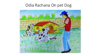 Odia Rachana On pet Dog
 