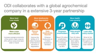 ODI collaborates with a global agrochemical
company in a extensive 3-year partnership
 