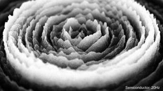 The Open Data InstituteSemiconductor: 20Hz
 