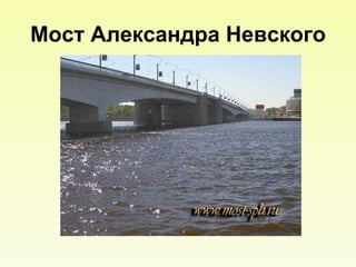 Мост Александра Невского 