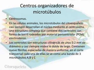 Centros organizadores de
microtúbulos
• Centrosomas.
• En las células animales, los microtúbulos del citoesqueleto
casi siempre desarrollan el núcleo mediante el centrosoma,
una estructura compleja que contiene dos centriolos con
forma de barril rodeados por material pericentriolar (PCM)
electrodenso.
• Los centriolos son estructuras cilíndricas de unos 0.2 mm de
diámetro y casi siempre miden lo doble de largo. Contienen
nueve ﬁbrillas espaciadas de manera uniforme; en el corte
transversal cada una de ellas se ve como una banda de 3
microtúbulos A,B y C
 