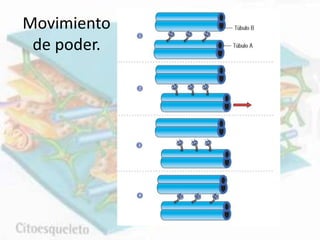 Movimiento
de poder.
 
