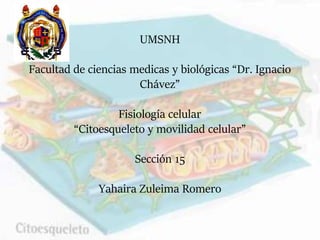 UMSNH
Facultad de ciencias medicas y biológicas “Dr. Ignacio
Chávez”
Fisiología celular
“Citoesqueleto y movilidad celular”
Sección 15
Yahaira Zuleima Romero
 