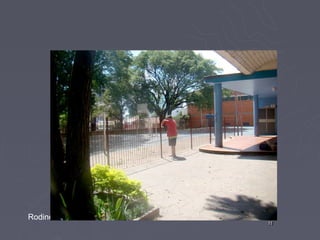 Rodinei Candeia
                  11
                  11
 