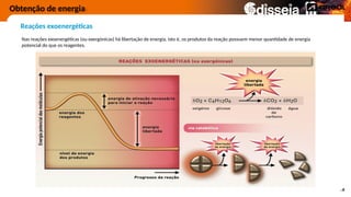 Nas reações exoenergéticas (ou exergónicas) há libertação de energia, isto é, os produtos da reação possuem menor quantidade de energia
potencial do que os reagentes.
Reações exoenergéticas
Obtenção de energia
 
