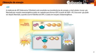 Obtenção de energia
ATP
A molécula de ATP (Adenosina Trifosfato) está envolvida nas transferências de energia a nível celular. A ener- gia
libertada por reações exoenergéticas pode ser captada para formar ATP (a partir de ADP + Pi). Essa ener- gia pode
ser depois libertada, quando ocorre hidrólise de ATP, e usada em reações endoenergéticas.
 