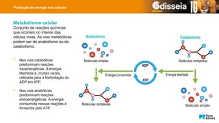 Produção de energia nas células
Metabolismo celular
Conjunto de reações químicas
que ocorrem no interior das
células vivas. As vias metabólicas
podem ser de anabolismo ou de
catabolismo.
 Nas vias catabólicas
predominam reações
exoenergéticas. A energia
libertada é, muitas vezes,
utilizada para a fosforilação do
ADP em ATP.
 Nas vias anabólicas
predominam reações
endoenergéticas. A energia
consumida nessas reações é
fornecida pelo ATP.
Anabolismo Catabolismo
Moléculas simples Moléculas complexas
Moléculas complexas Moléculas simples
Energia consumida Energia libertada
ATP
ADP
 
