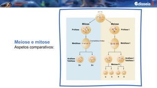 Meiose e mitose
Aspetos comparativos:
Mitose Meiose
Prófase
Metáfase
Anáfase
Telófase
2n 2n
Prófase I
Metáfase I
Anáfase I
Telófase I
n n n n
Cromatídios-irmãos
Meiose II
 