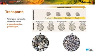 Transporte
• Ao longo do transporte,
os detritos sofrem
arredondamento e
granotriagem.
 