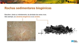 Resultam, direta ou indiretamente, da atividade dos seres vivos.
São exemplo, os calcários biogénicos e os carvões.
Rochas sedimentares biogénicas
 