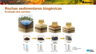 Rochas sedimentares biogénicas
Evolução dos carvões
 