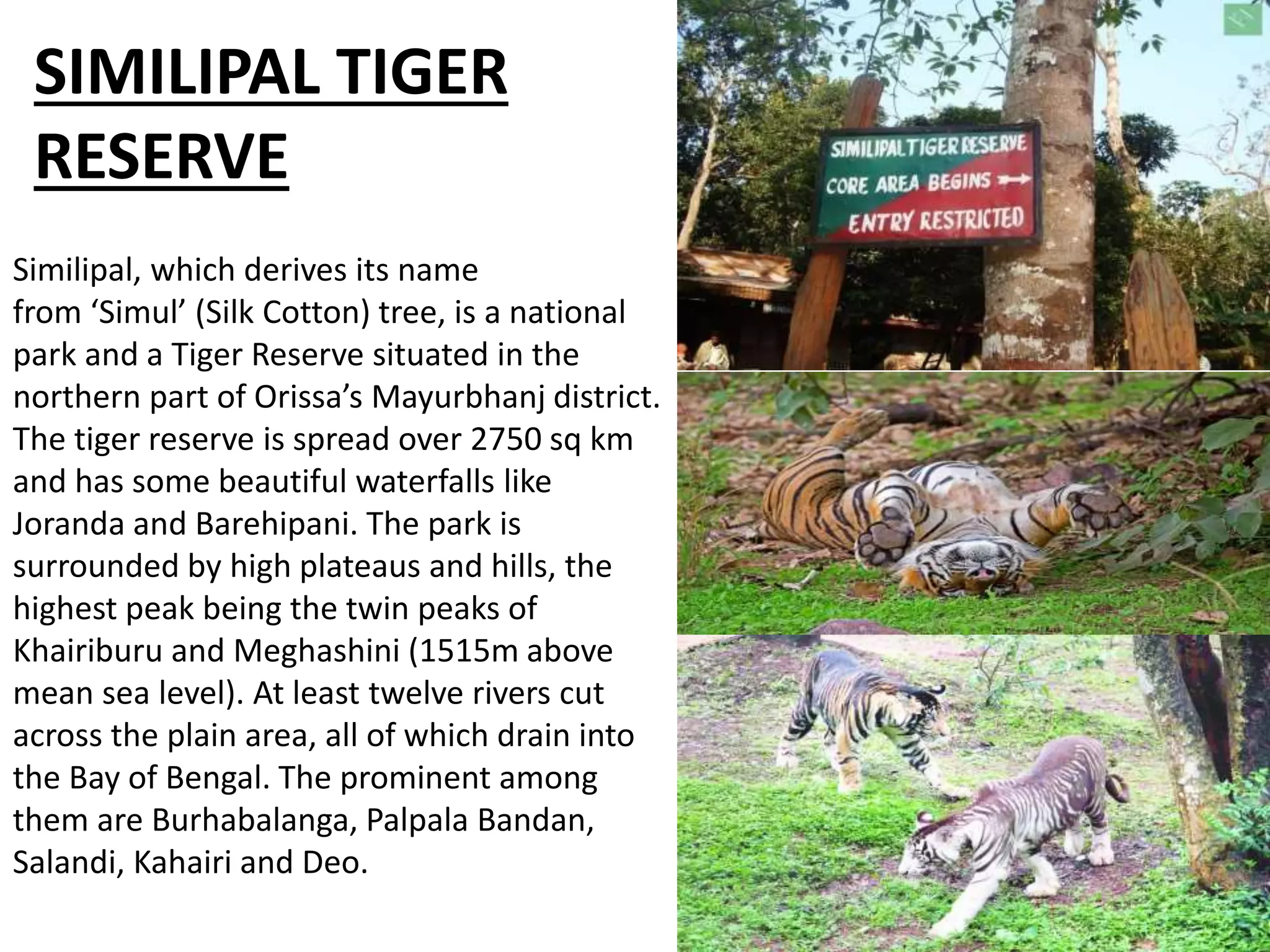 ODISHA.pptx