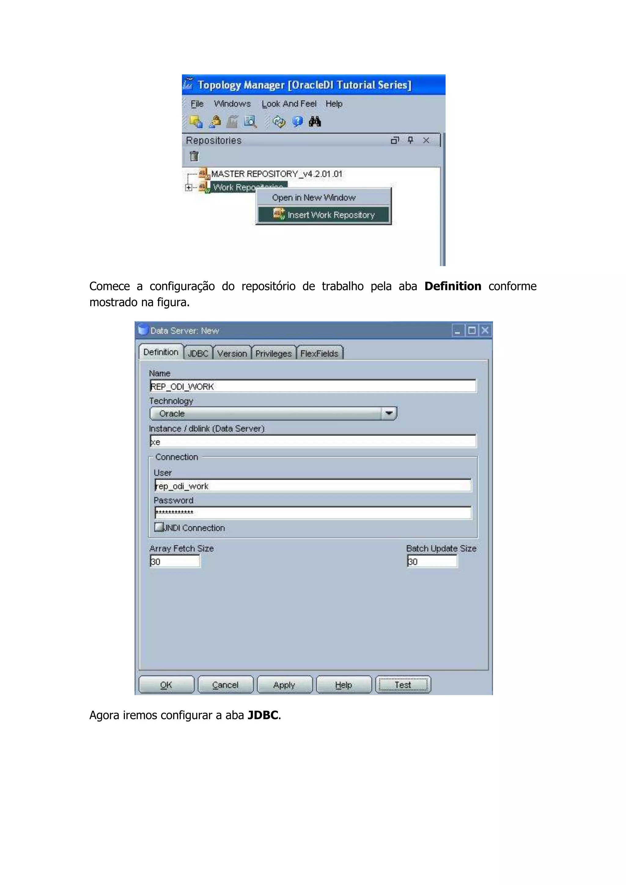 Comece a configuração do repositório de trabalho pela aba Definition conforme
mostrado na figura.




Agora iremos configurar a aba JDBC.
 
