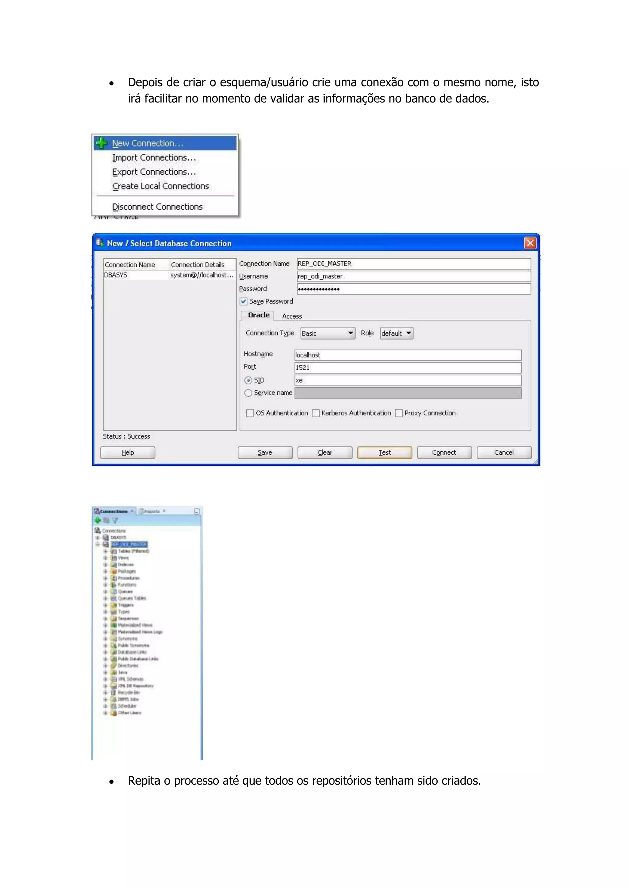 Depois de criar o esquema/usuário crie uma conexão com o mesmo nome, isto
irá facilitar no momento de validar as informações no banco de dados.




Repita o processo até que todos os repositórios tenham sido criados.
 